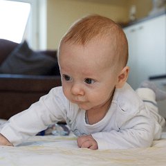 IMG 070